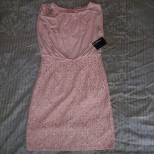 NWT Enfocus Studio dress